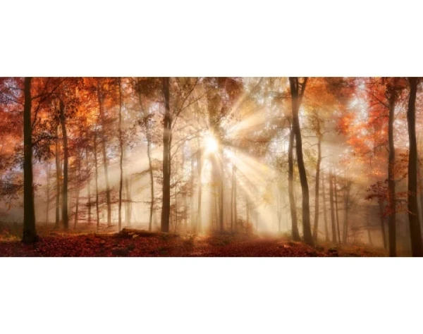 Panoramatický obraz na plátne Jesenný les, 140x60 cm%