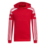 Squadra 21 Hoody Youth Jr GP6433 Adidas