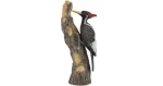 Collecta Ďateľ kniežací