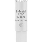 Bosch Accessories 2608594560 2608594560 vŕtacia korunka 17 mm 1 ks; 2608594560