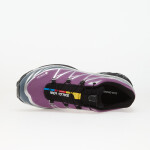 Tenisky Salomon XT-6 GTX Concog/ Stormw/ Ftw Silver EUR 38 2/3