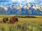 EUROGRAPHICS Puzzle Národný park Grand Teton