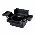 Aptel Kozmetický kufrík 35x25x31cm čierny CA34