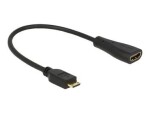 DeLock Cable High Speed HDMI s Ethernet - mini C male A female (65650)