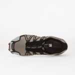 Tenisky Salomon Speedcross 3 GTX Cloudb/ Prlblu/ Blac EUR 37 1/3