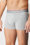 3PACK Boxerky Tommy Hilfiger Premium Essentials