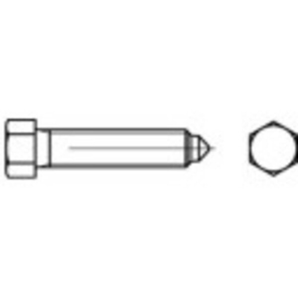 Šesťhranné skrutky TOOLCRAFT 109084 M10 DIN 564 25 mm oceľ 100 ks; 109084