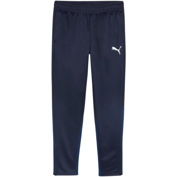 Puma Team Goal Training M nohavice 658639 06 L