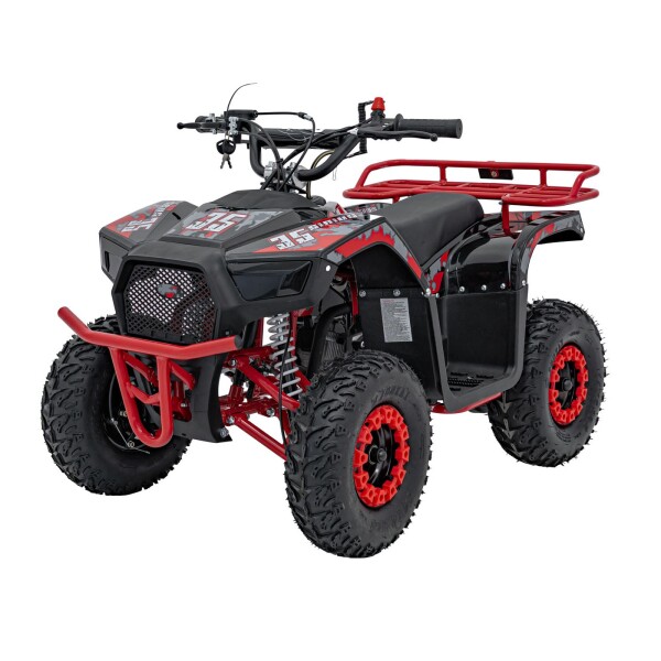 Mamido Detská benzínová štvorkolka RamiGO SIRIUS 49CC červená