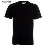 Pánske tričko T-shirt Heavy 21172 chrpa L