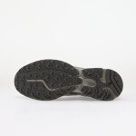 Tenisky Salomon XT-PATHWAY GTX Allo/ Ftw Silver/ Clro EUR 45 1/3