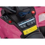 Mamido Detská elektrická štvorkolka Can-Am Outlander ATV ružová