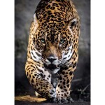 Clementoni Puzzle Jaguar 1000 dielikov