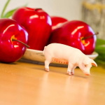 Safari Ltd. Safari Ltd. Figúrka - Prasnica