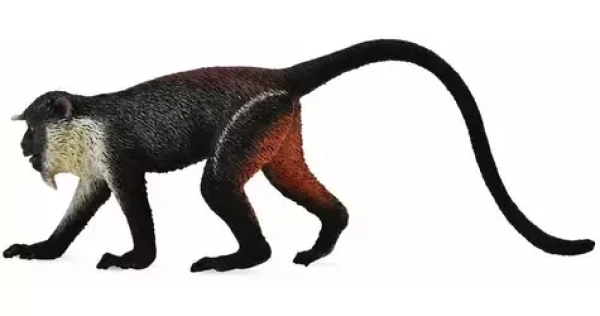 Collecta Mačkodan Dianin