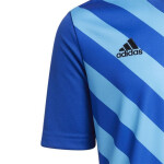 Entrada 22 Graphic Jersey Adidas