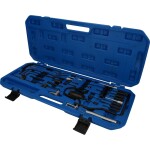 Brilliant Tools BT592250 Sada nástrojov na časovanie motora pre PSA; BT592250