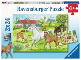 Ravensburger V stajniach