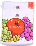 Fruit of the Loom Spodné tričká, balenie po 3 ks v vrecku 16.7082 biele white M