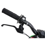 Mamido Detská benzínová motorka RamiGO NITRO 60CC zelená