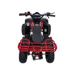 Mamido Detská benzínová štvorkolka RamiGO EXPLORER 110CC červená