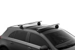 Thule Evo Fixpoint 2 Pack, Halterung