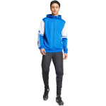 Mikina adidas Squadra 25 Hoody M JD2991 muži L