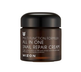 Mizon All In One Snail Repair Cream 75 ml