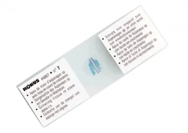 Kónus sada mikroskopických vzoriek - bezstavovce / hmyz 25ks (4977)