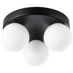Paulmann 71069 Gove stropné svetlo G9 čierna (matná), saténová; 71069