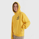 O'Neill Future Surf Society Hoodie 92800613435