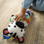 BABY EINSTEIN Hračka aktívna na C krúžku ZEN zebra 0m +