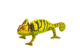 Mojo Animal Planet Chameleón