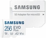 Samsung EVO PLUS Class 10 (MB-MC256SA/EU)