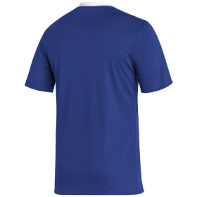 Pánske tričko Entrada 22 JSY M HG6283 - Adidas XS