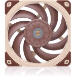 Noctua