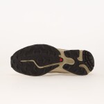 Tenisky Salomon XT-6 Eucalyptus/ Grape Leaf/ Almilk EUR 46