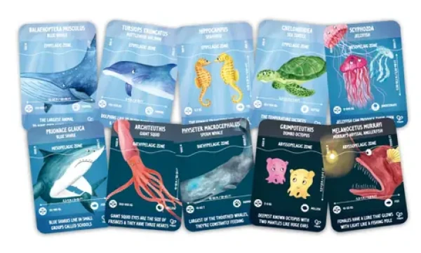 Hape Puzzle - Život v oceáne