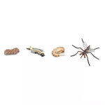 Safari Ltd. Safari Ltd. Životný cyklus - Komár