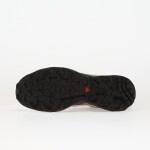 Tenisky Salomon XT-6 GTX Paloma/ Maroob/ Buttrf EUR 42 2/3