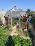 Oblúkový polykarbonátový skleník – Gardentec Standard Gardentec Standard PROFI (8 x 2,5 m)