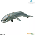 Safari Ltd. Safari Ltd. Plejtvákovec sivý