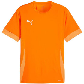 Puma teamGoal Matchday Jersey M 705747 08 muži L