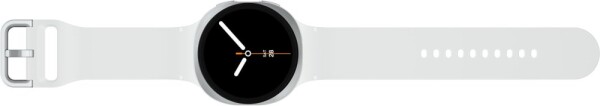 Samsung Samsung Galaxy Watch8 4G smartwatch, 44 mm, silver