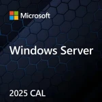 MS Windows Server CAL 2025 / Prístupová licencia / 1 CAL (EP2-25286)