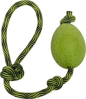 KIWI WALKER Hračka pre psov Vajíčko Maxi zelená / Hádzacia a plávacia / TPR pena / 8,5 cm (TPR-238)