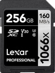 Lexar Professional 1066x SDXC 256 GB Class 10 UHS-I/U3 V30 (LSD1066256G-BNNNG)