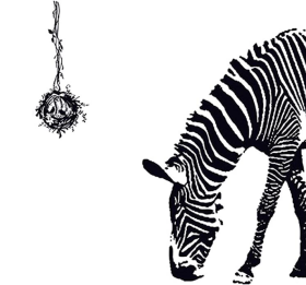 Veselá Stena Samolepka Zebra