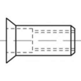 TOOLCRAFT TO-5455185 slepá nitovacie matice M6 250 ks; TO-5455185