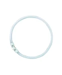 OSRAM LEDVANCE FC FS1 kruhová žiarivka / 22W / 4000 K (O0528465)